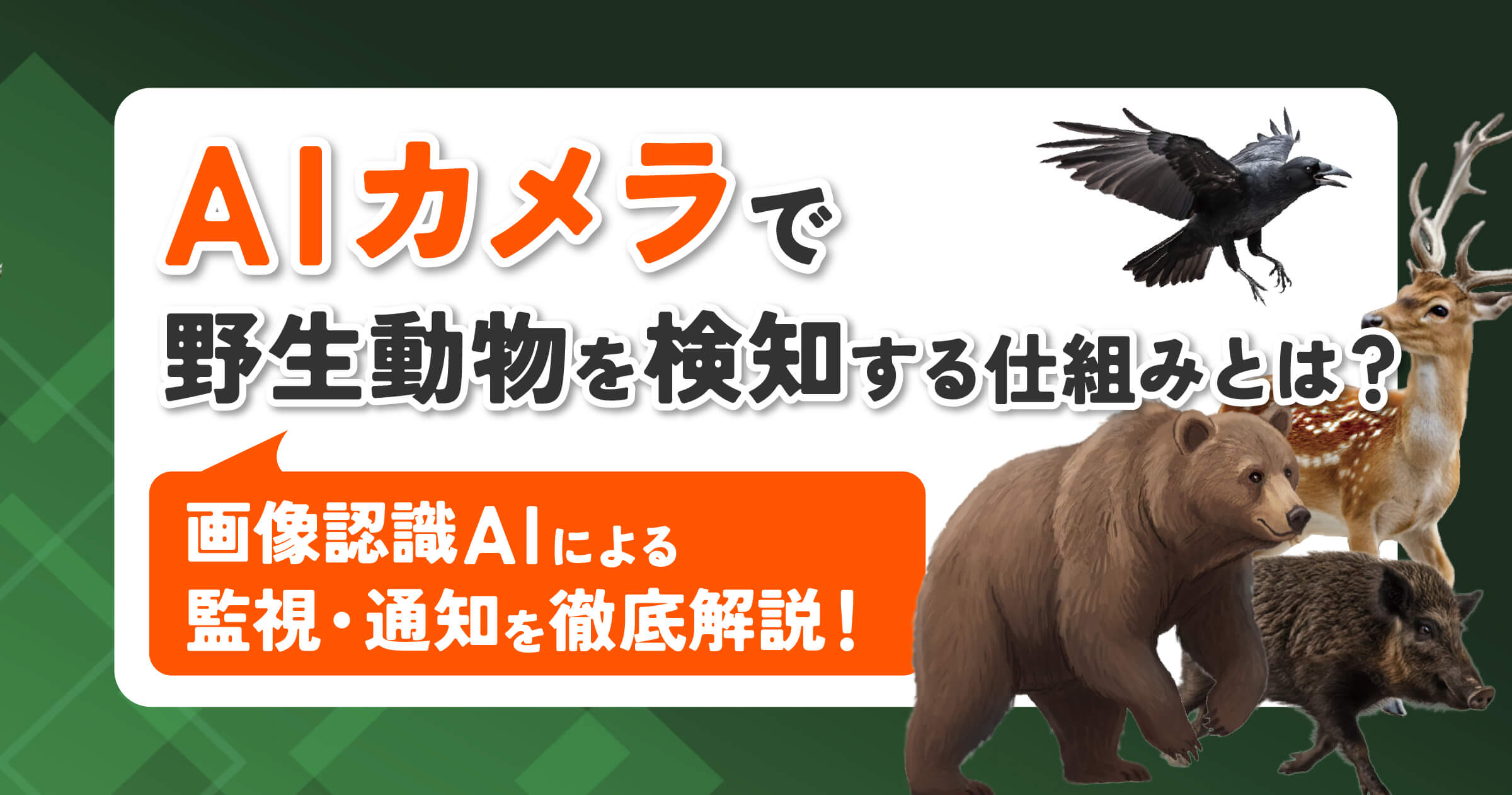 AIカメラで野生動物を検知する仕組みとは？画像認識AIによる監視・通知を解説