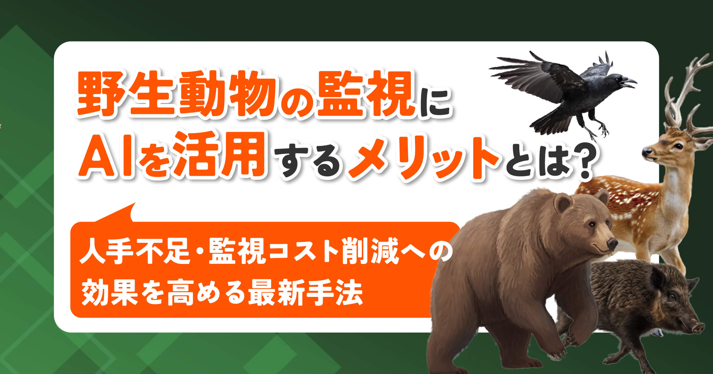 野生動物の監視にAIを活用するメリットとは？人手不足・監視コスト削減への効果を高める最新手法