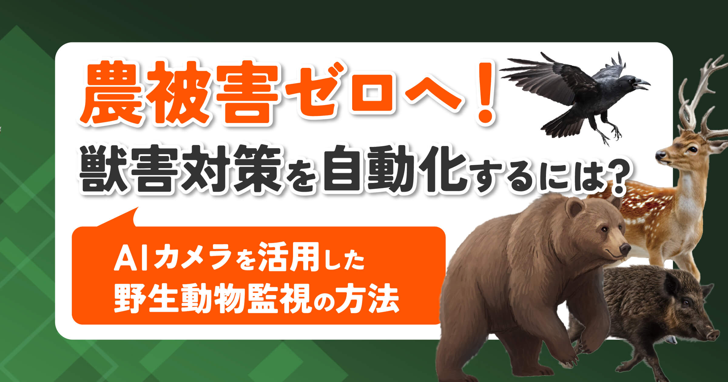 農被害ゼロへ！獣害対策を自動化するには？AI・カメラを活用した野生動物監視の方法